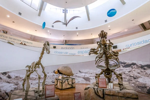 Cordoba Argentyna Maja 2018 Muzeum Nauk Przyrodniczych Museo Provincial Ciencias — Zdjęcie stockowe