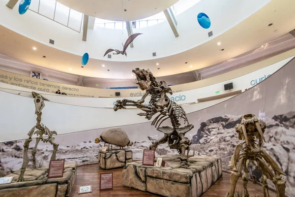 Córdoba Argentina Mayo 2018 Museo Ciencias Naturales Interior Córdoba Argentina — Foto de Stock