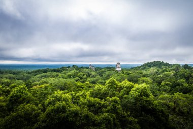 Yağmur ormanları ve Maya tapınak Tikal n tepesinden manzarayı