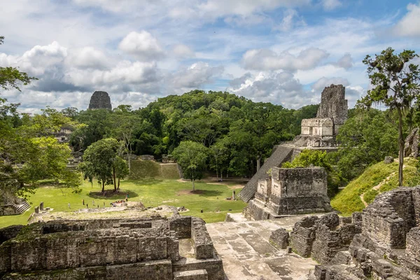 Maya Temple Tikal Ulusal Park Guatemala — Stok fotoğraf