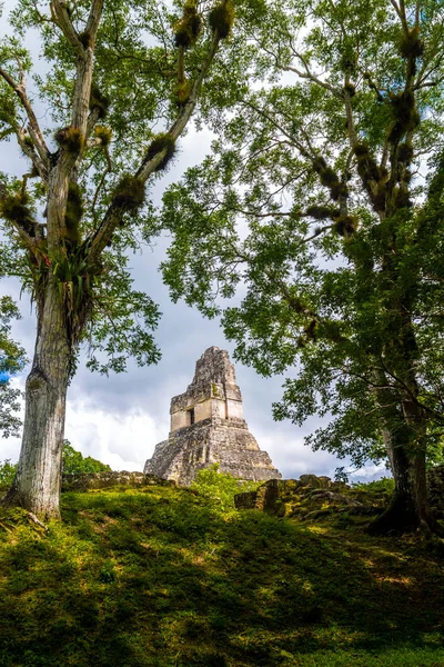 Haut Temple Maya Gran Jaguar Parc National Tikal Guat — Photo