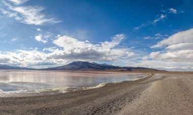 Laguna Colorada (kırmızı Lagoon) Bolivean altiplano - Bölüm: Potosi, Bolivia