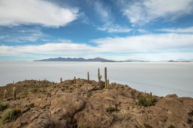 Incahuasi kaktüs Island'da Salar de Uyuni tuz düz - Bölüm: Potosi, Bolivia