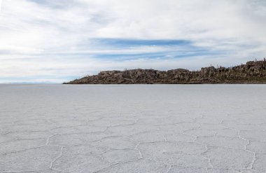 Salar de Uyuni tuz düz ve Incahuasi kaktüs Adası - Bölüm: Potosi, Bolivia