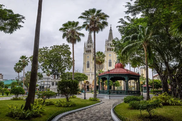 Seminario Park Leguánok Park Metropolitan Cathedral Guayaquil Ecuador — Stock Fotó