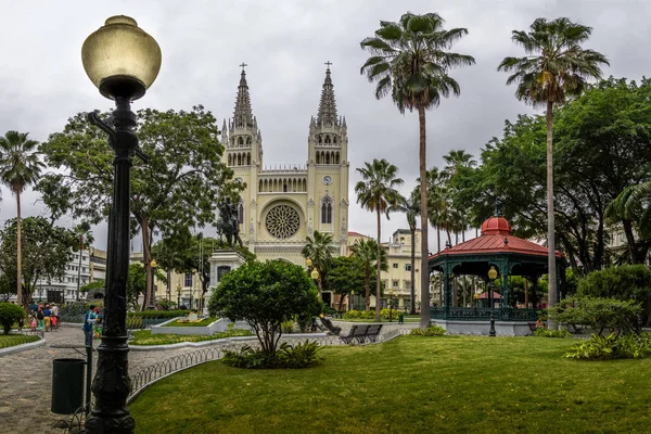 Seminario Park Leguánok Park Metropolitan Cathedral Guayaquil Ecuador — Stock Fotó