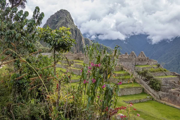 Ruinas Machu Picchu Inca Valle Sagrado Perú — Foto de Stock