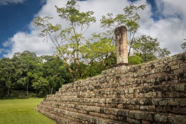 Pyramid stairs and Carved Stella in Mayan Ruins - Copan Archaeol
