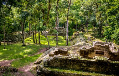 Ruins of residential area of Mayan Ruins - Copan Archaeological 