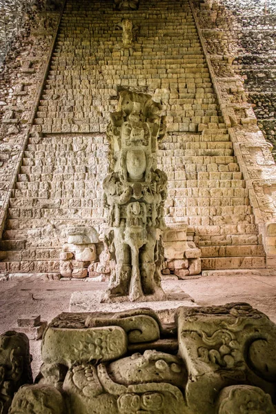 Escalera Jeroglífica Ruinas Mayas Sitio Arqueológico Copán —  Fotos de Stock