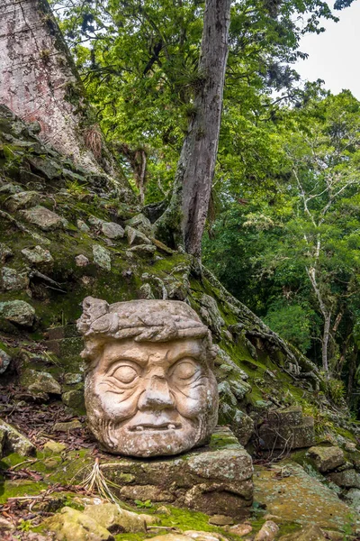 Maya Harabeleri Copan Arkeolojik Site Eski Adam Kafasına Oyulmuş — Stok fotoğraf