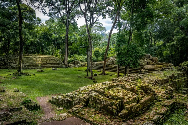 Ruinas Zona Residencial Ruinas Mayas Copán Arqueológico — Foto de Stock