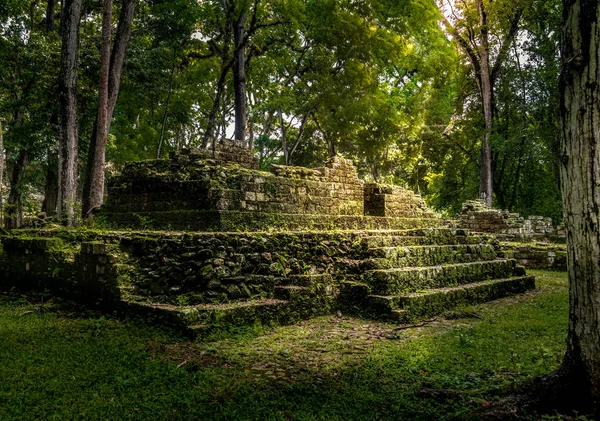 Ruines Quartier Résidentiel Des Ruines Mayas Copan Archaeological — Photo