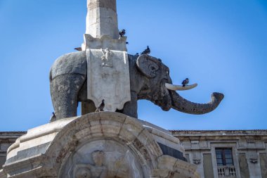 Fil heykel Çeşmesi, Piazza del Duomo (Katedral Meydanı) - Catania, Sicilya, İtalya