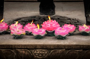 Pembe Lotus mumlar budhist Tapınağı