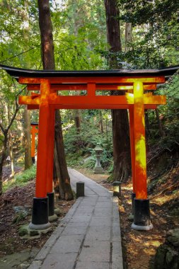 Torii gates de Fushimi Inari tapınak - Kyoto, Japonya