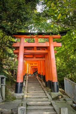 Torii gates de Fushimi Inari tapınak - Kyoto, Japonya