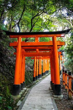 Torii gates de Fushimi Inari tapınak - Kyoto, Japonya