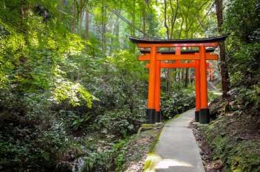 Torii gates de Fushimi Inari tapınak - Kyoto, Japonya
