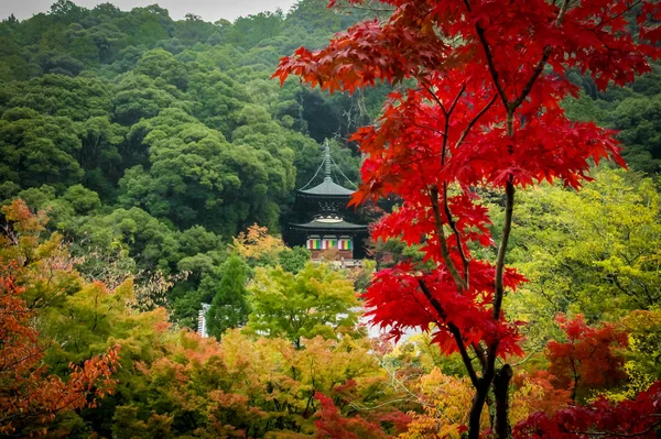 Eikando Pagoda Follaje Otoñal Kyoto Japón — Foto de Stock