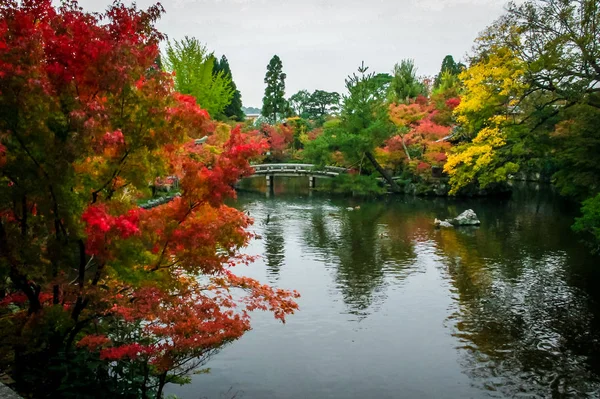 Lake, bridge and autumn foliage - Kyoto, Japan