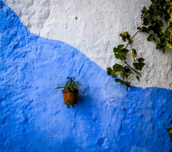 シャウエン ブルー メディナ モロッコの壁について — ストック写真