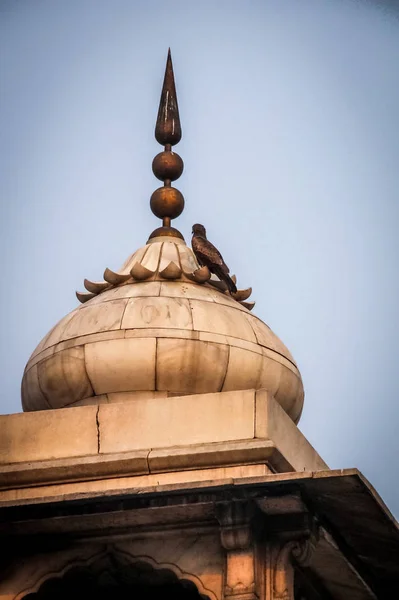 Vogel Auf Einem Turm Der Roten Festung Delhi Indien — Stockfoto