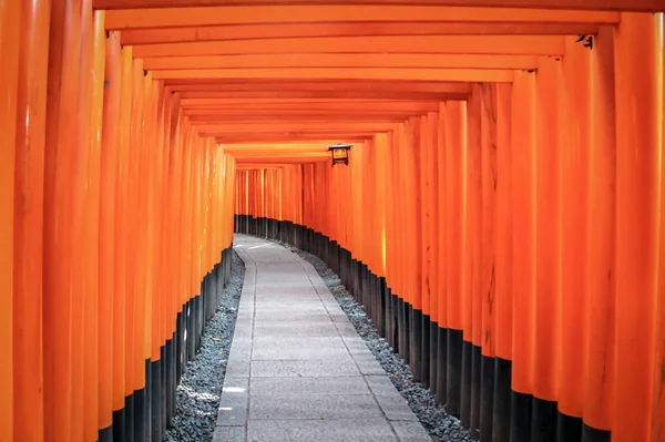 Torii Gates Fushimi Inari Tapınak Kyoto Japonya — Stok fotoğraf