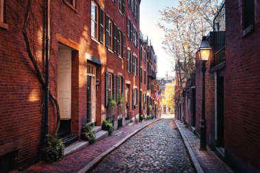 Meşe palamudu Street - Boston, Massachusetts, ABD