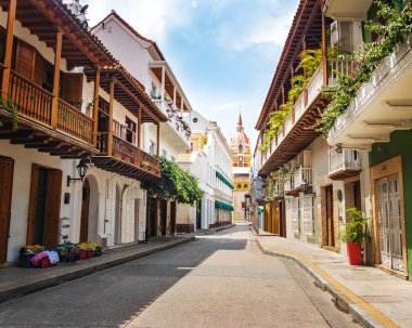 Cadde görünümü ve Katedrali - Cartagena de Indias, Kolombiya
