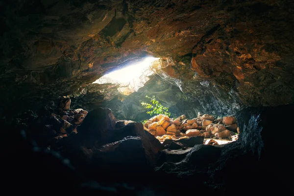 Usine frappée par la lumière du soleil à la grotte d'Ana Te Pahu - Île de Pâques, Chili — Photo
