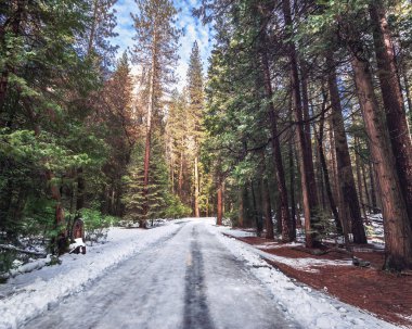 Yol karla kaplı kış - Yosemite Ulusal Parl, California, ABD