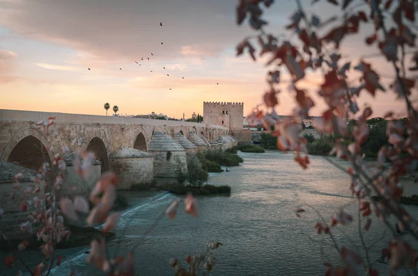 Córdoba al amanecer con Puente Romano Antiguo y Torre Calahorra - C — Foto de Stock