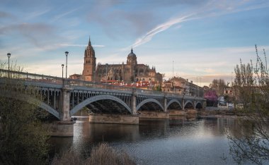 Katedral ve Enrique Estevan Köprüsü ile Salamanca Skyline görünümü