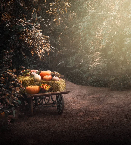 Carrello Legno Autunno Festivo Con Zucche Verdure — Foto Stock