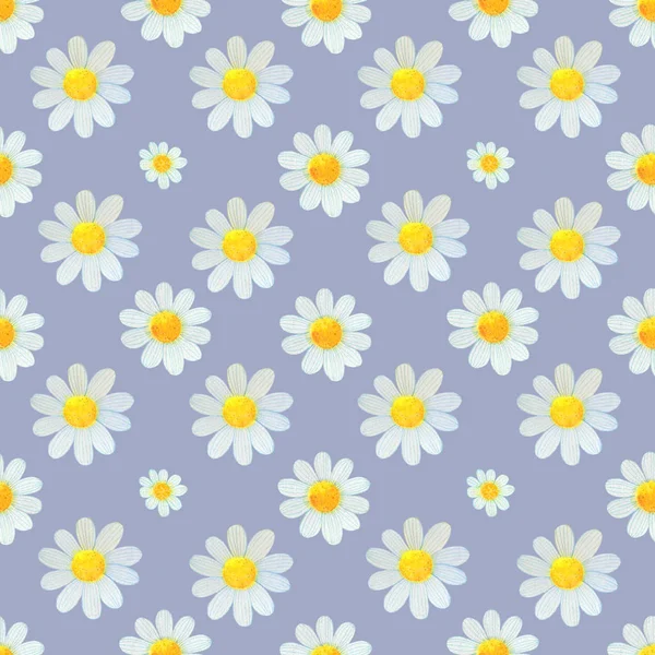 daisies wildflowers watercolor pattern set illustration seamless