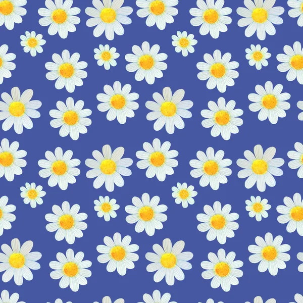 Daisies wildflowers watercolor pattern set illustration seamless — Stock Photo, Image