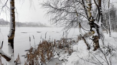 Sonbahar, ilkbahar, kış mevsimi. Buz gölünün üzerinde yoğun bir sis var. Mistik bir atmosfer. Orman ve kasvetli manzara.