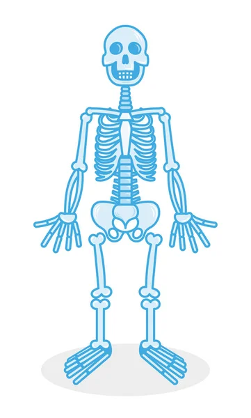 Σκελετός κινούμενα σχέδια χαρακτήρα — Διανυσματικό Αρχείο
