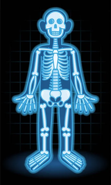 X-ray kreslená postavička — Stockový vektor
