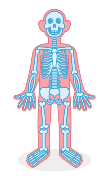Squelette personnage de dessin animé — Image vectorielle
