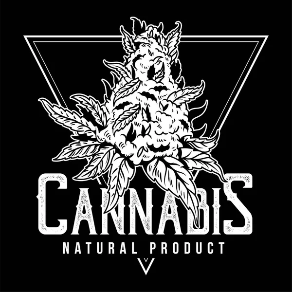 Kannabisz természetes termék nyomtatási — Stock Vector