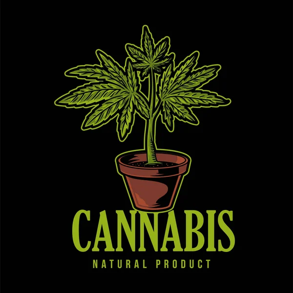 Producto natural del cannabis — Vector de stock