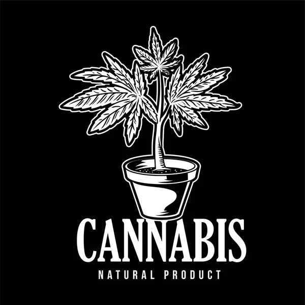 Producto natural del cannabis — Vector de stock