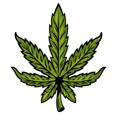 marihuana yaprağı 