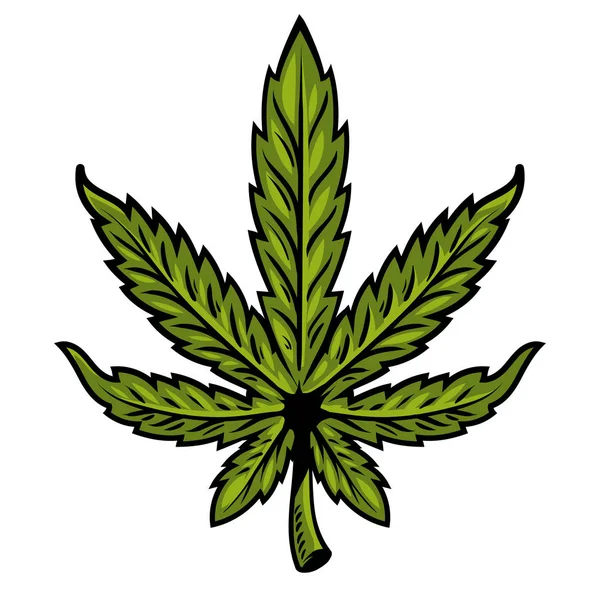 Blad van de marihuana — Stockvector