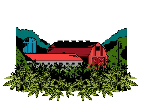 Cannabis natural farm print — Stock Vector