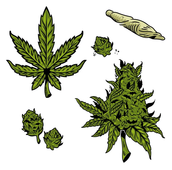 Cannabis marijuana set — Stock vektor