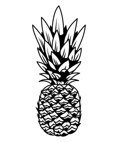 Pineapple big tasty summer tropical fruit — Stock Vector