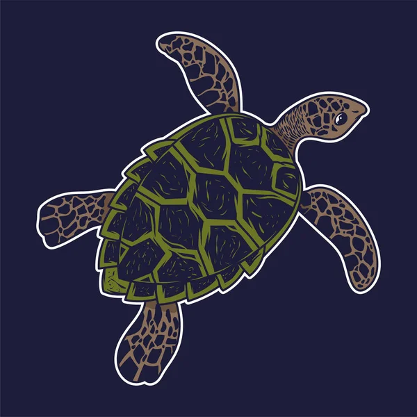 Gran mar océano tortuga animal salvaje — Vector de stock